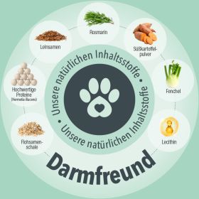 Darmfreund