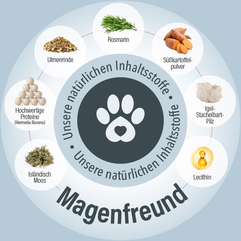 Magenfreund