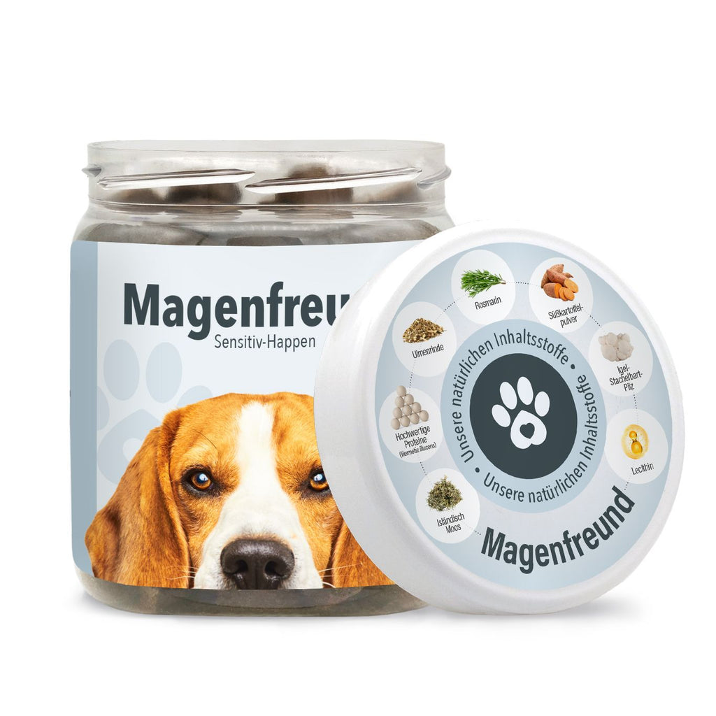Magenfreund