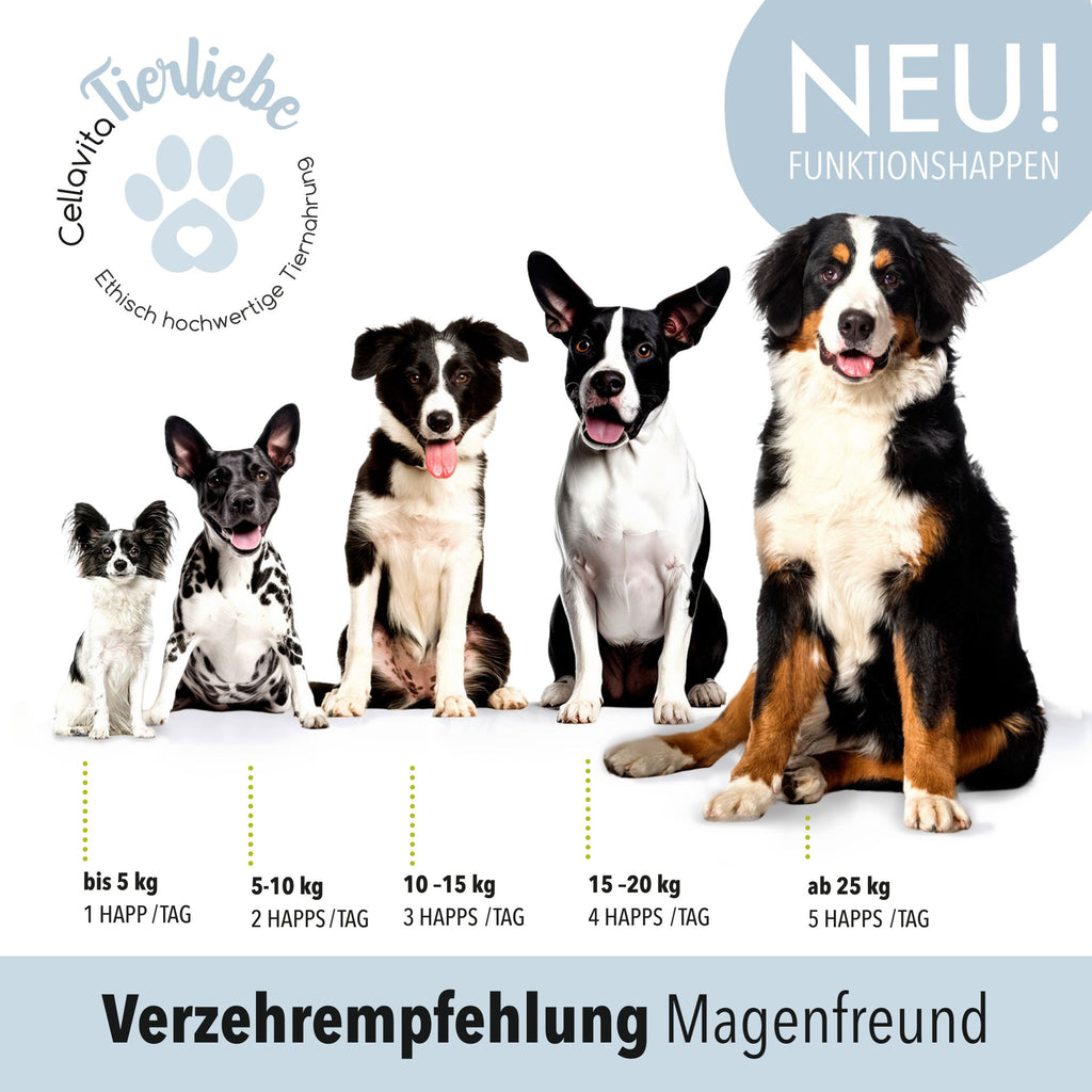 Magenfreund