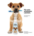 Zahnfreund-Spray
